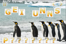 Kids App Penguins